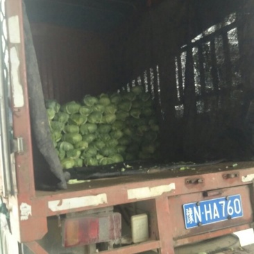 河南扁包大量走货中
