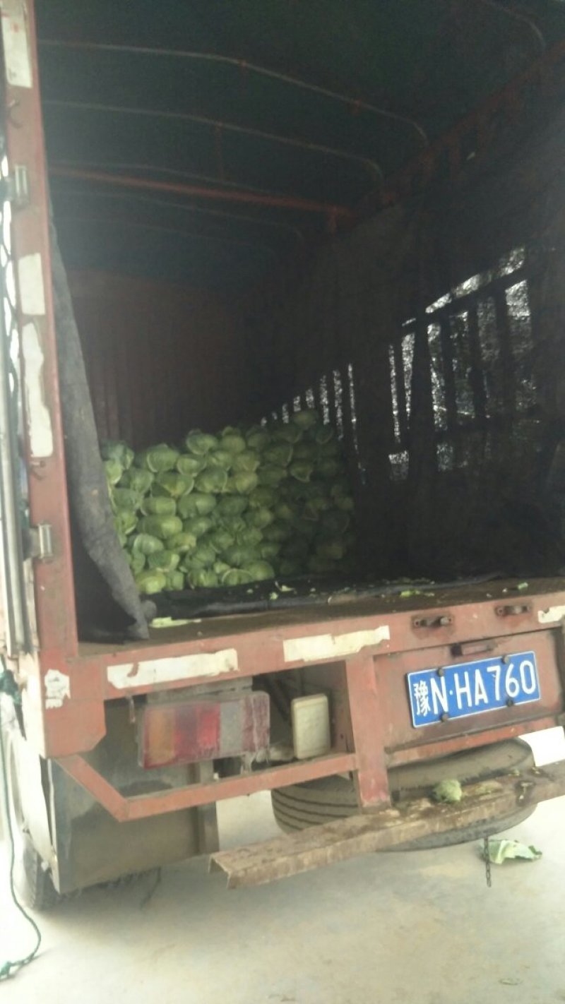 河南扁包大量走货中