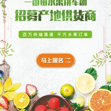 花生秧