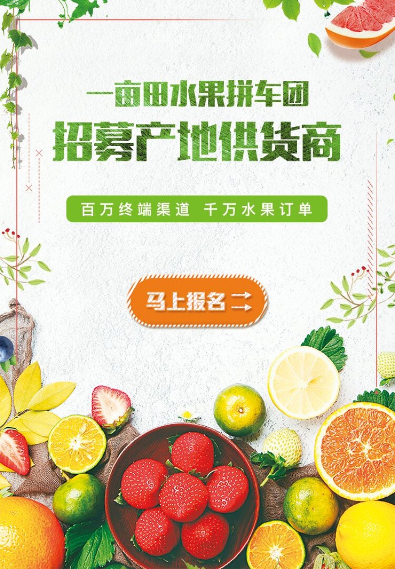 花生秧