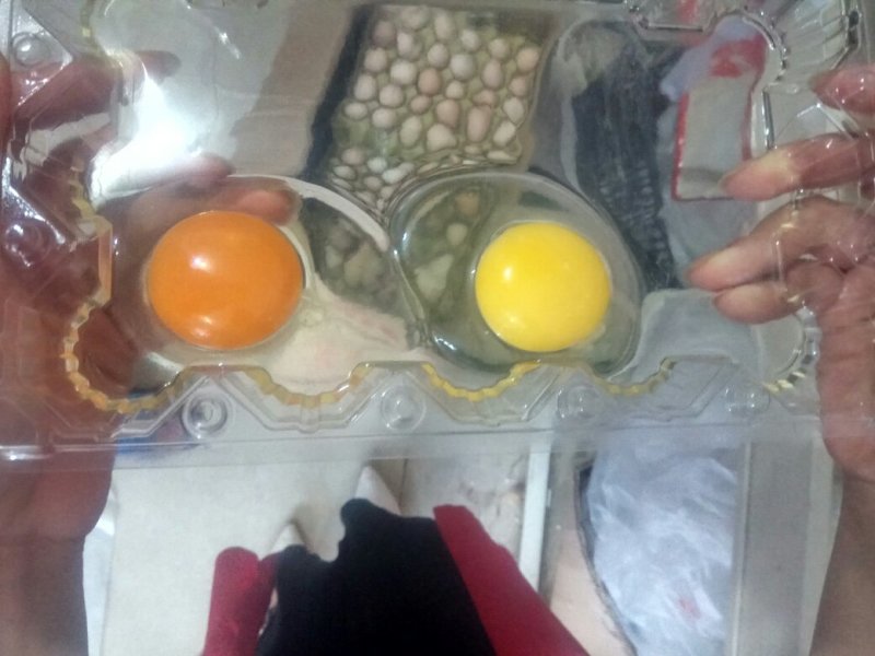 土鸡蛋