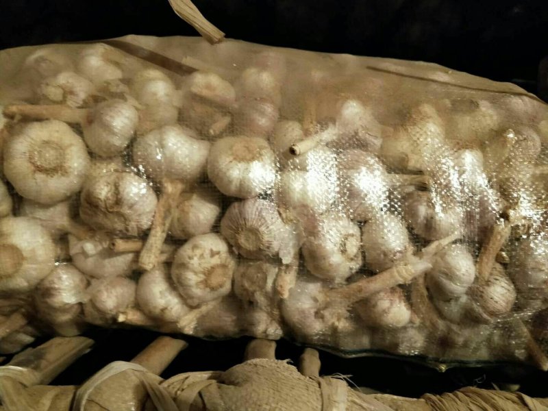 金乡大蒜紫皮蒜加工各规格包装！一吨起批。量大从优。