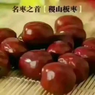 山西特产稷山板枣批发