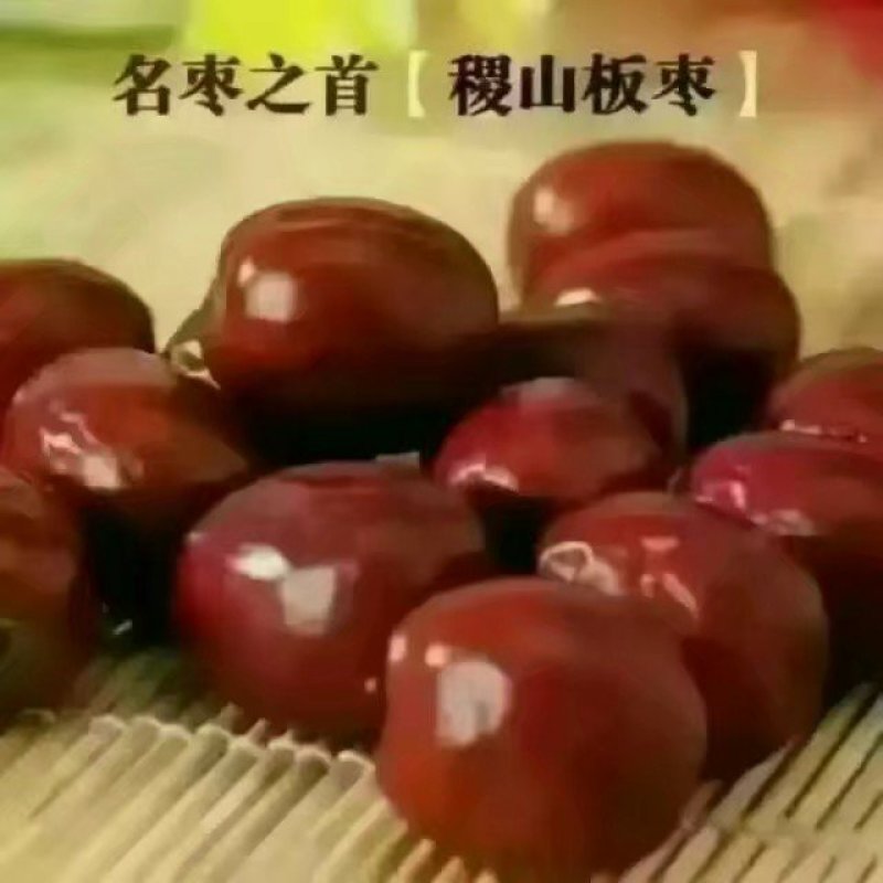 山西特产稷山板枣批发