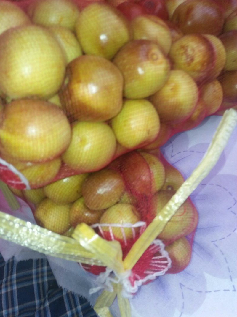 冬枣