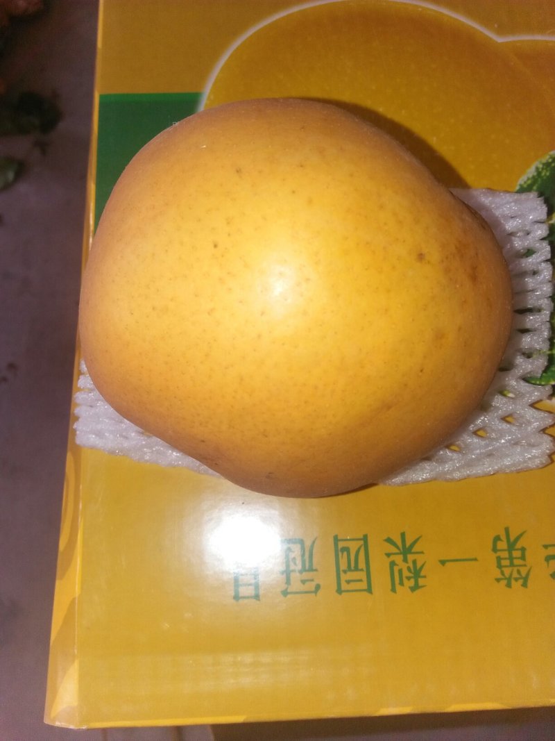 冬枣