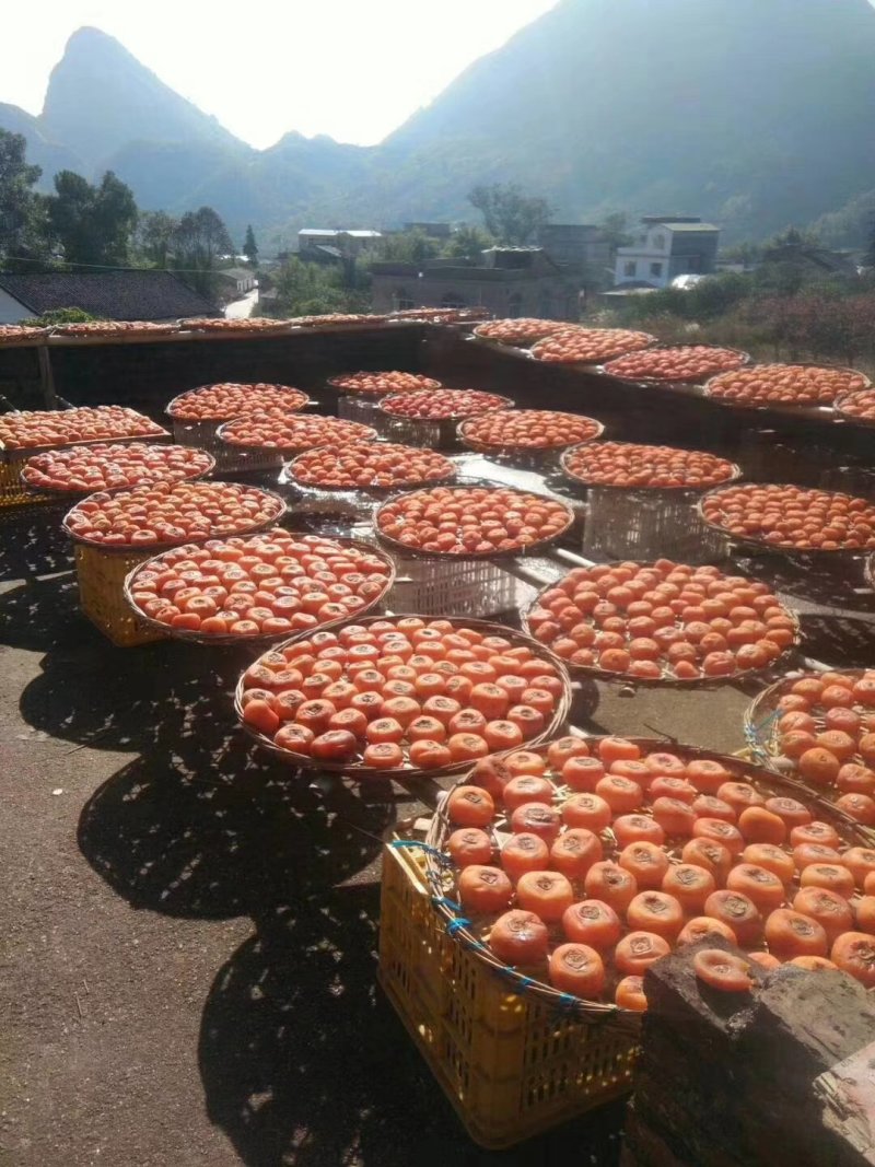 大量供应天然绿色果脯柿饼，零售，批发，可代购
