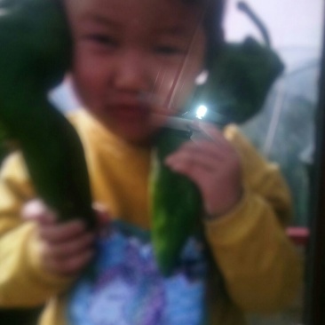 鲜辣椒