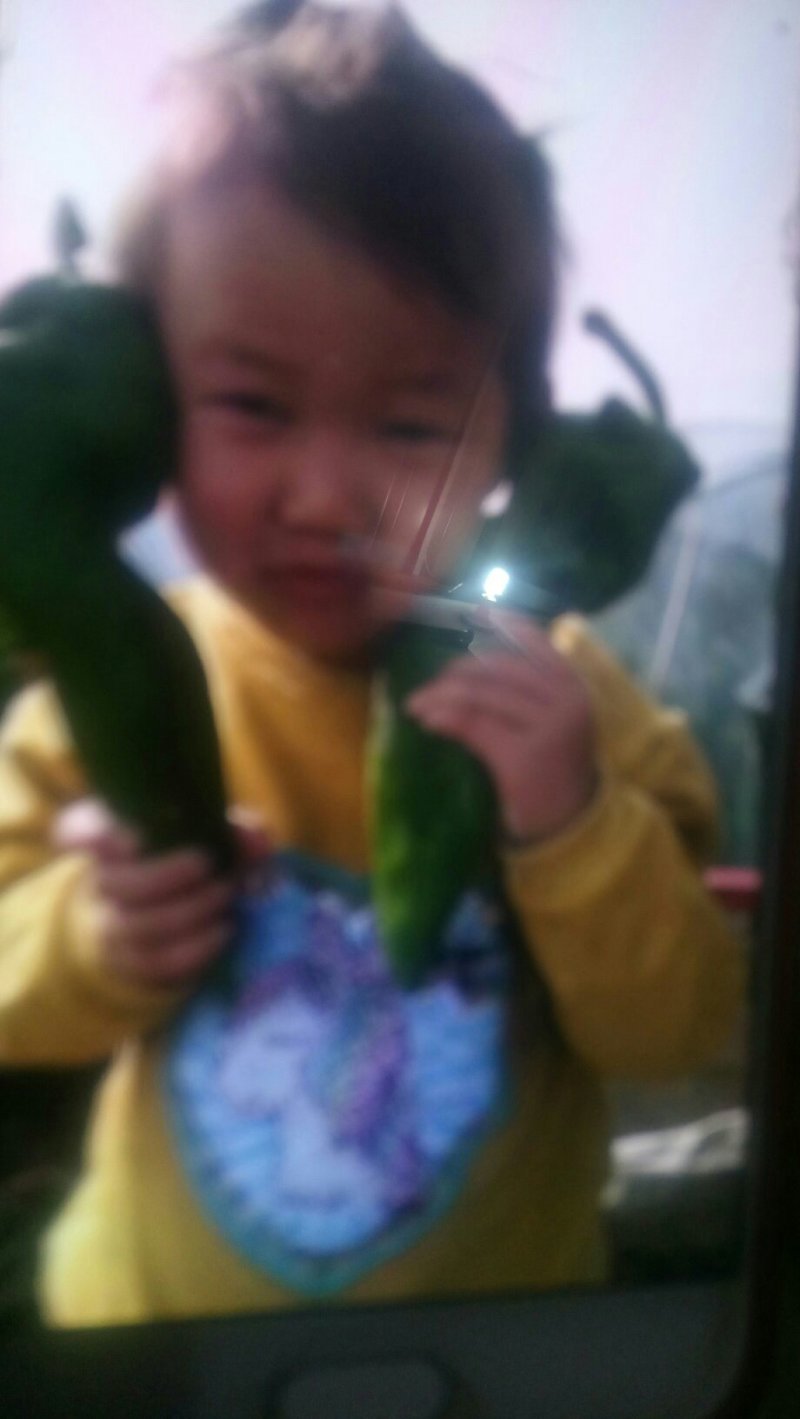 鲜辣椒