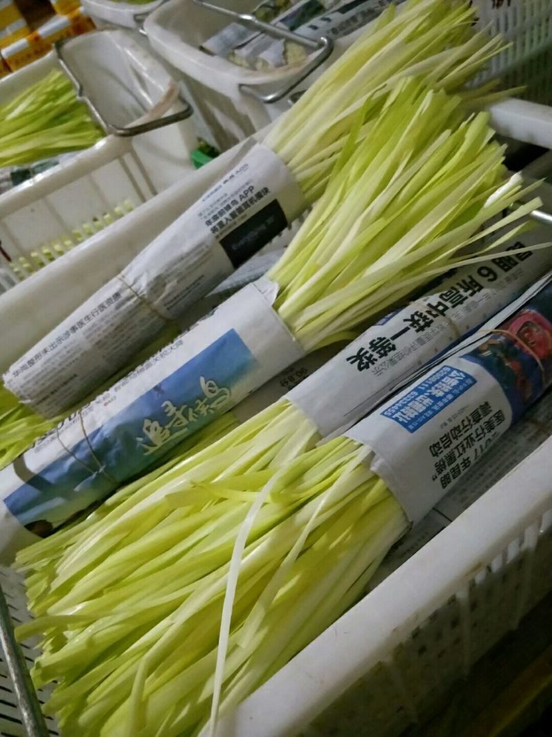 四川精品韭黄