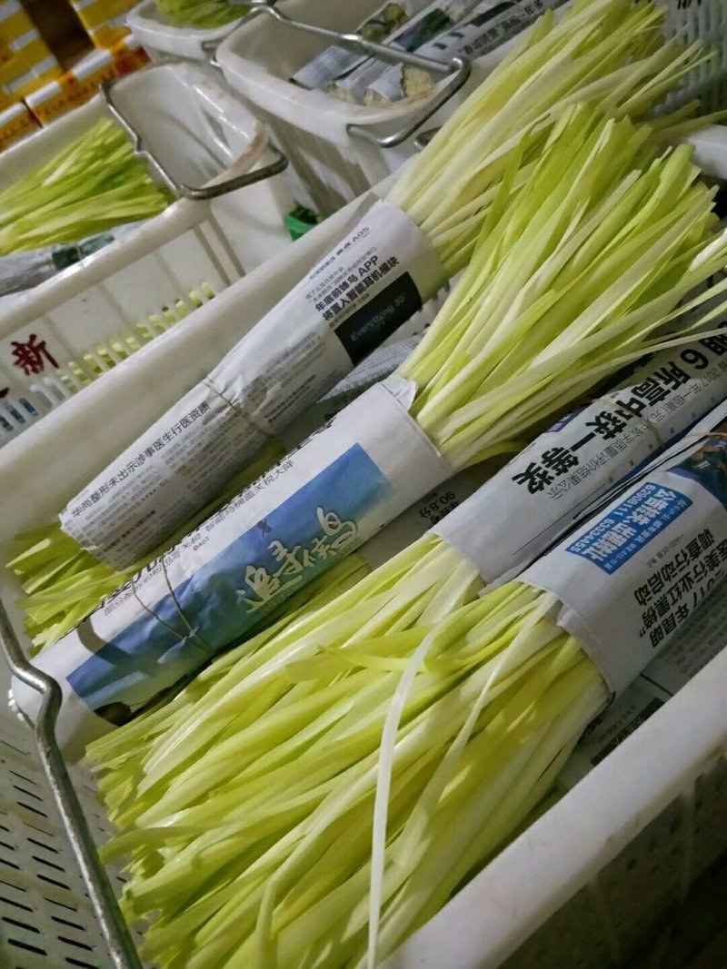四川精品韭黄