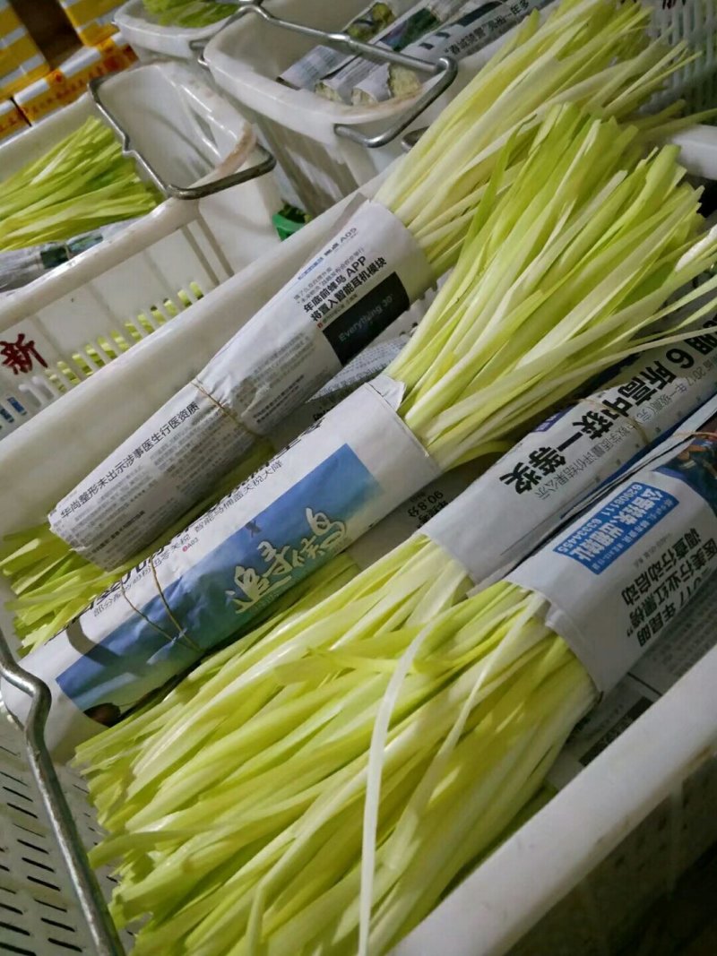 四川精品韭黄