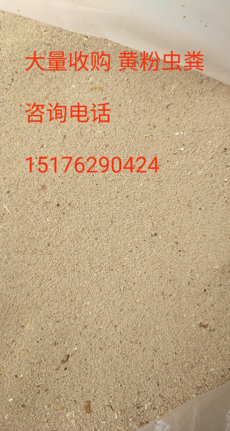 黄粉虫粪虫沙饲料原料