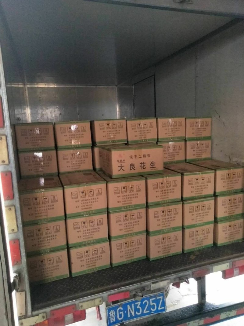 大良一号花生芽种子，花生种子