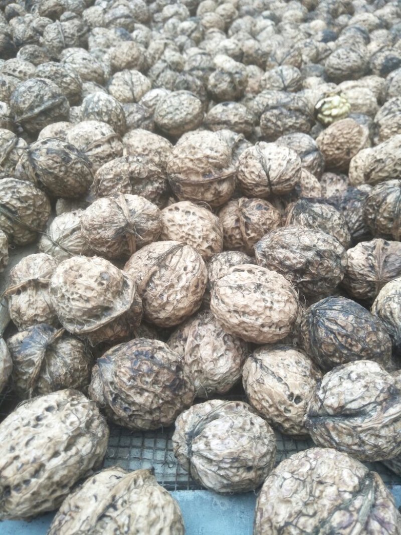 凤庆脆皮原生态核桃没有漂白没清洗