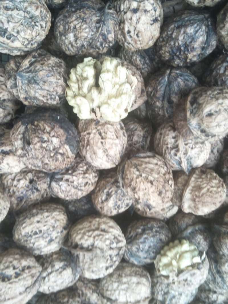 凤庆脆皮原生态核桃没有漂白没清洗