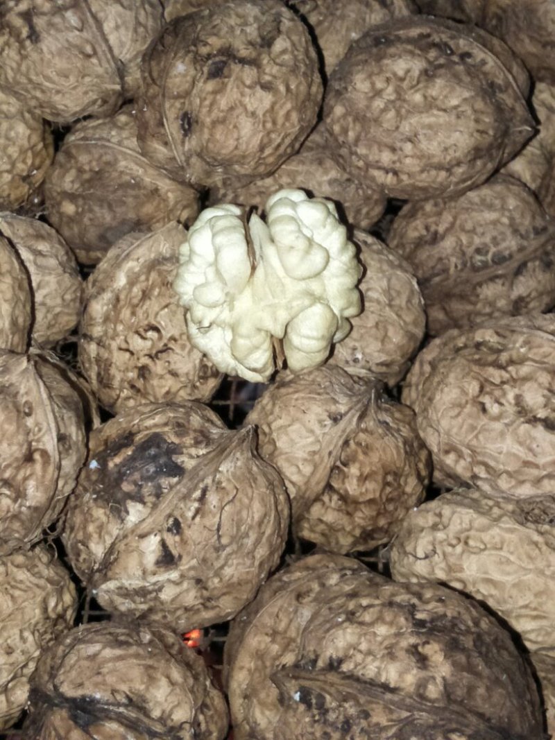 凤庆脆皮原生态核桃没有漂白没清洗