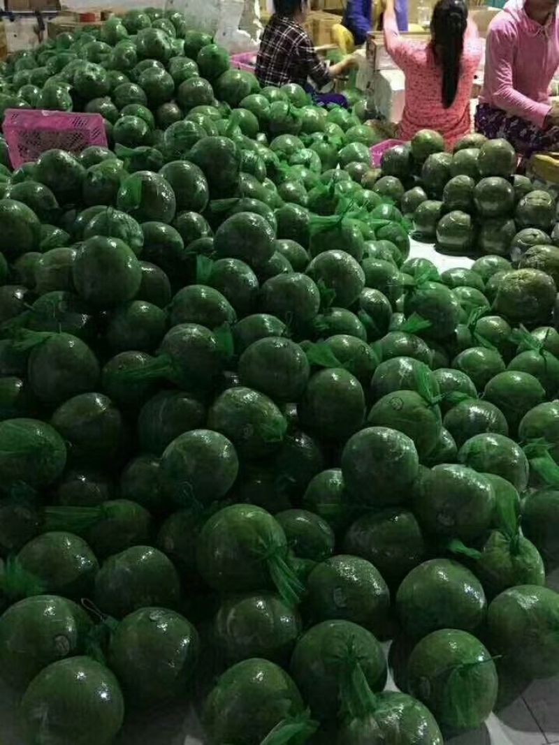 越南红心柚