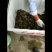 螃蟹30一斤