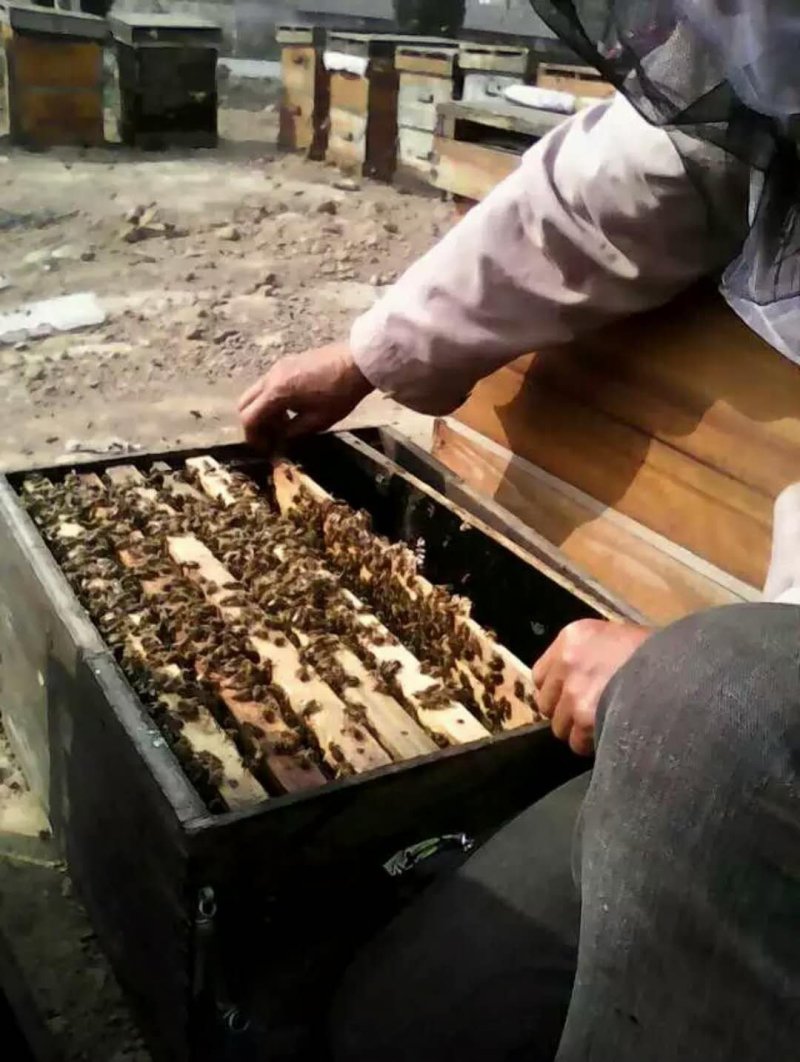蜂蜜
