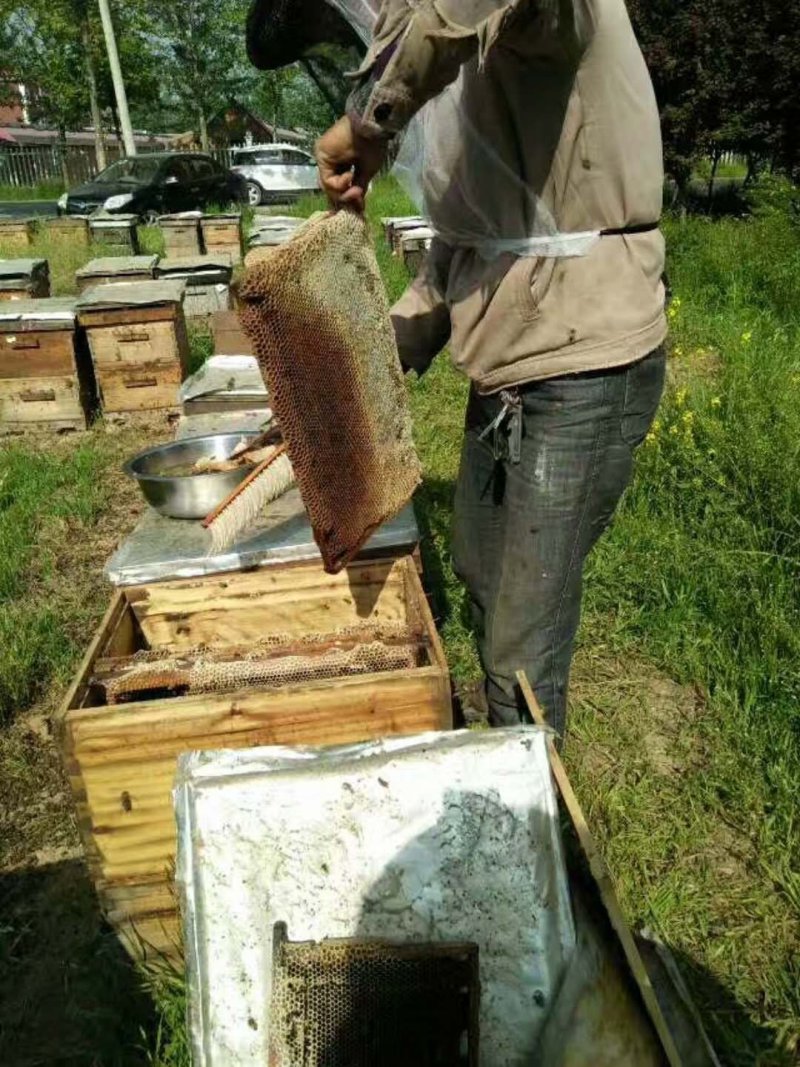 蜂蜜