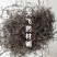 无根藤菟丝子藤内蒙1公斤起批无硫无添加不包邮