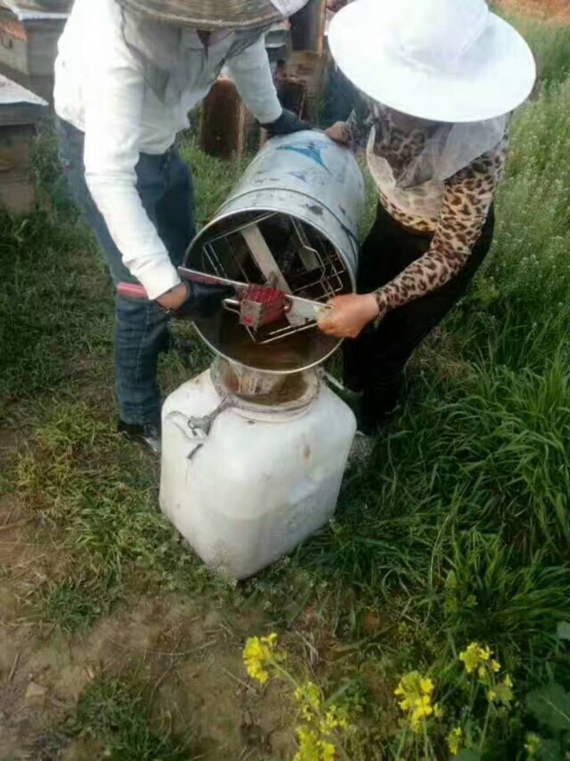 枣花蜂蜜
