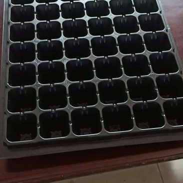 育苗盘