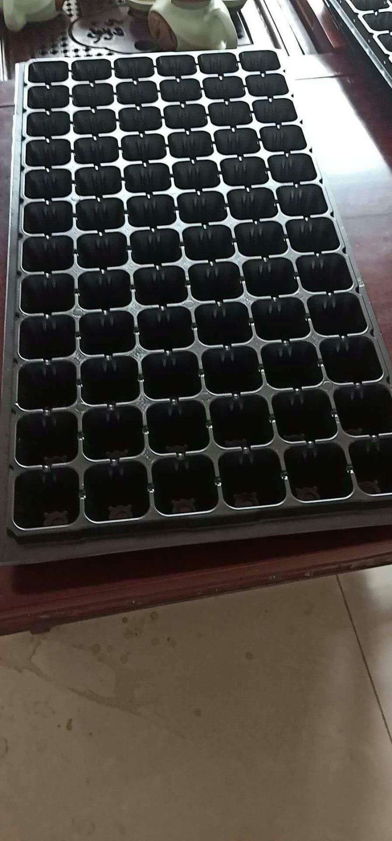 育苗盘