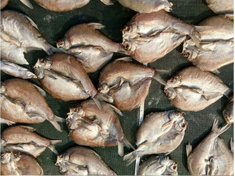 洪湖鳊鱼干风味武昌鱼鱼干