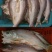 洪湖野生翘嘴白鱼干大白刁鱼风干鱼干