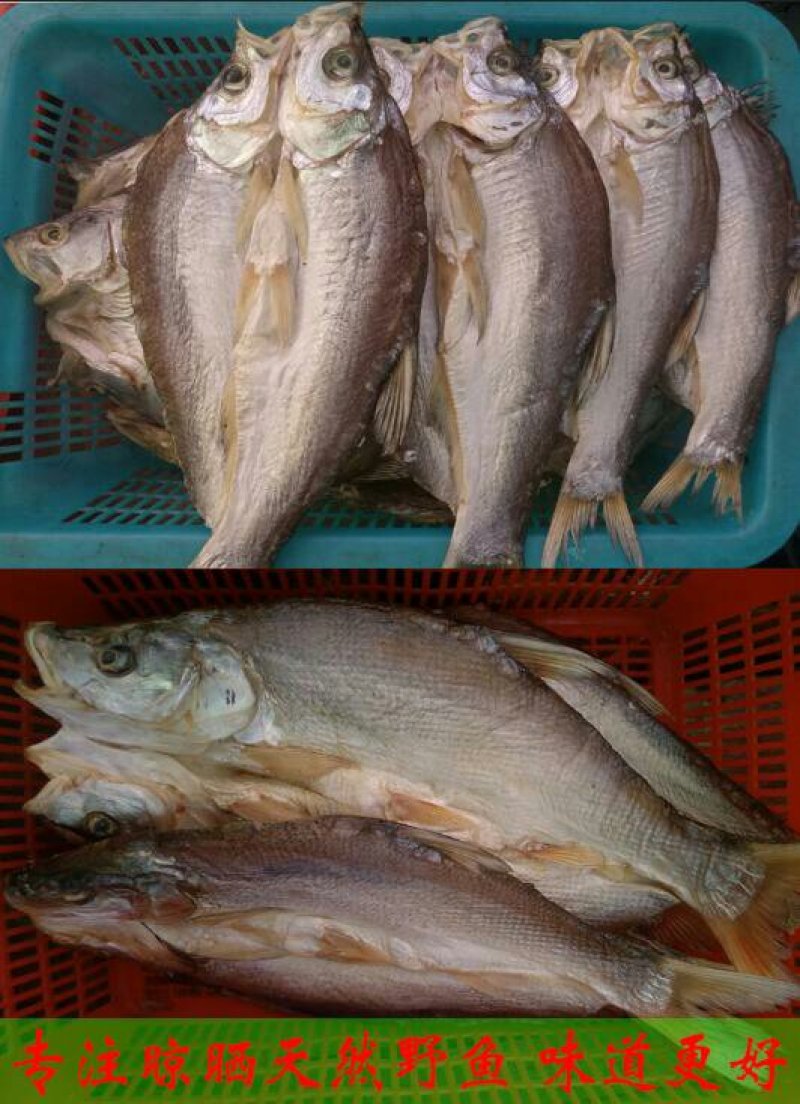 洪湖野生翘嘴白鱼干大白刁鱼风干鱼干