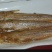 野生刀鱼
