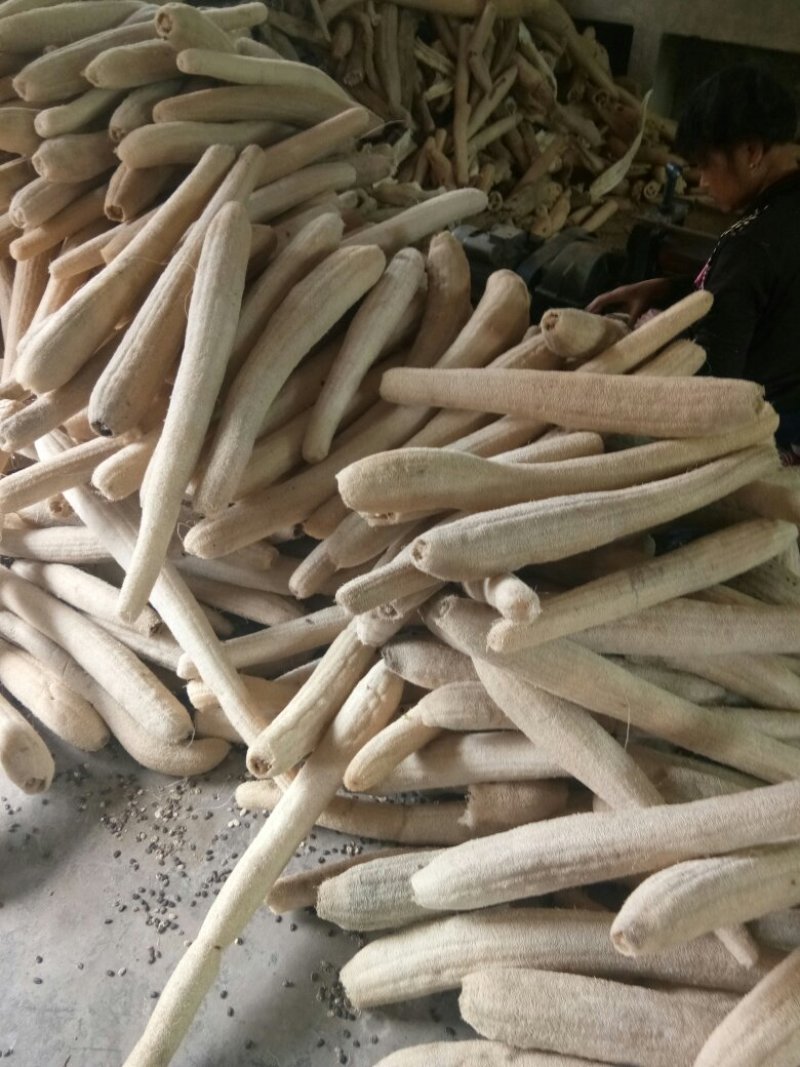 丝瓜络