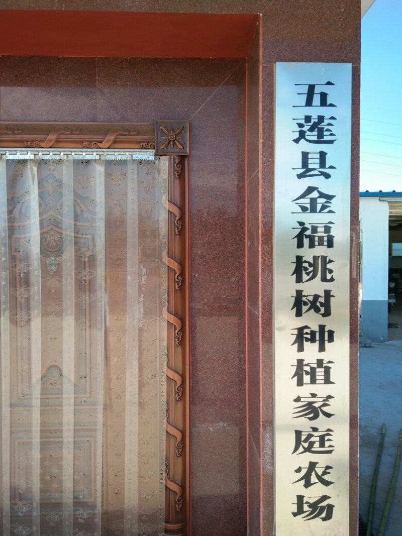 映霜红桃毛桃