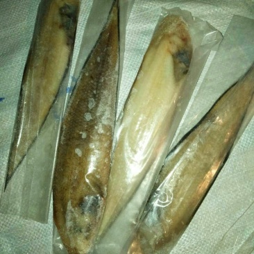 鳎米鱼刀鱼黄花鱼批发