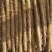 冠县白玉山药假铁棍。大通货，双棒一手货源。质量杠杠滴。