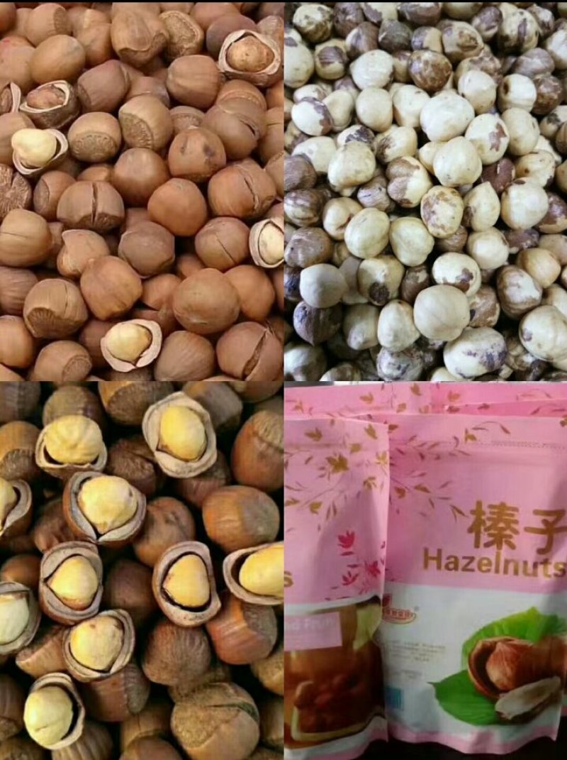 【精选】5斤包邮大粒纯开原包山野生榛子，皮薄仁满手拍榛子
