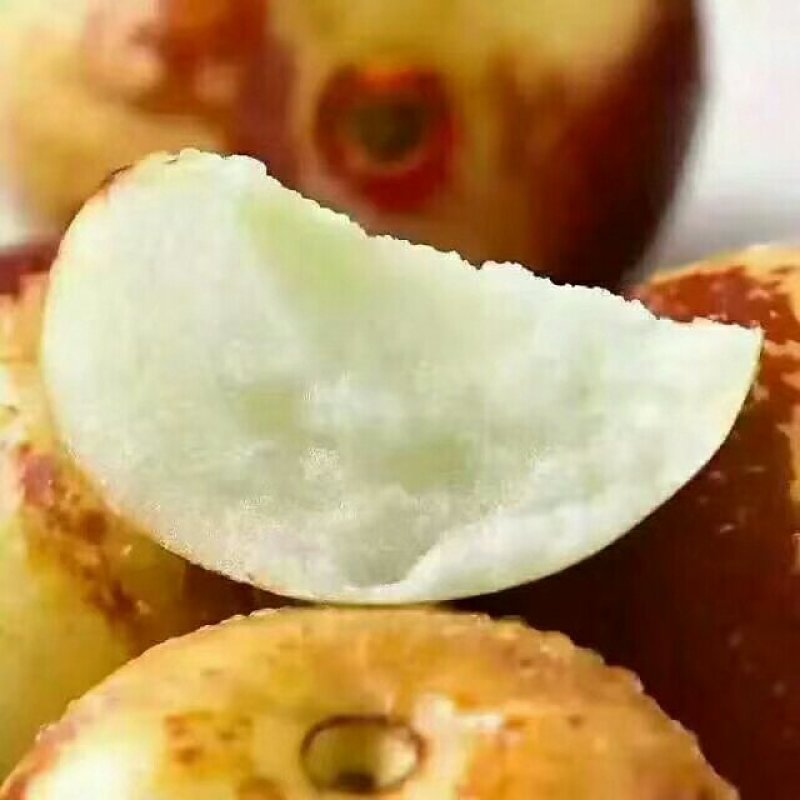 冬枣