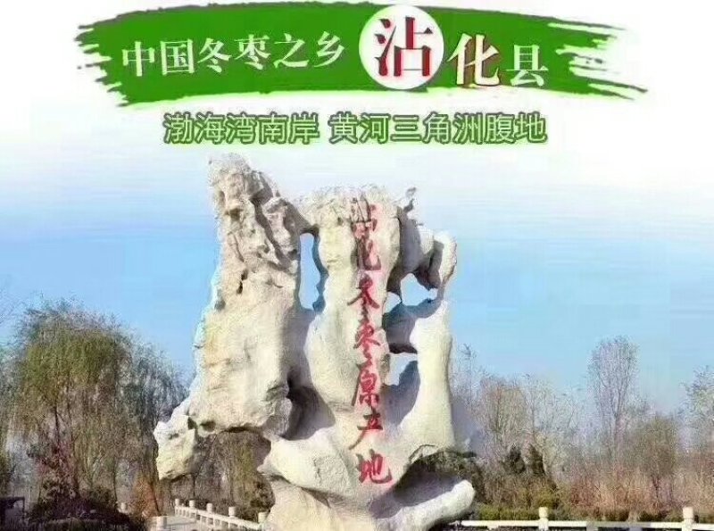 冬枣