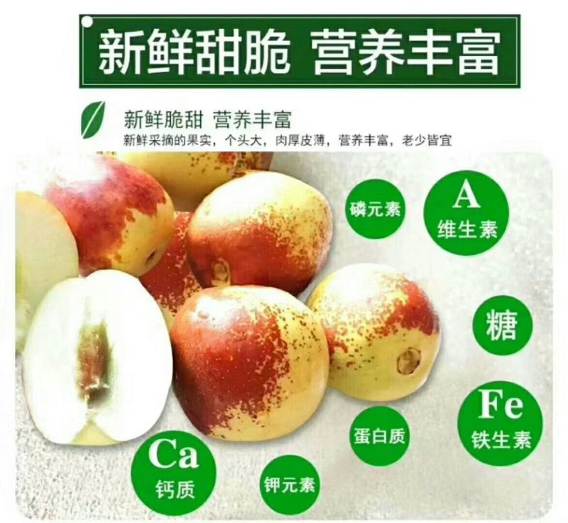 冬枣