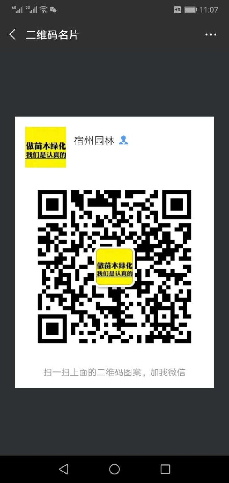 合欢银杏桃树梍角