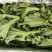 【有好货】非洲冰草冰菜基地直供现摘现卖山东特菜批发