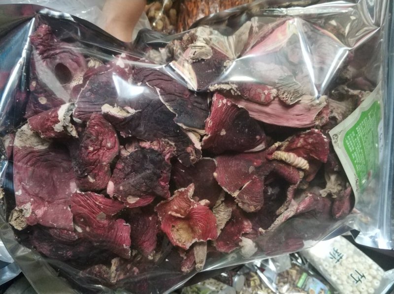 红菌（云南）