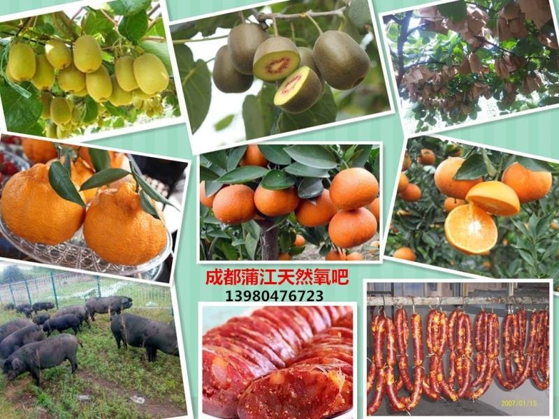 洪茂生态种养