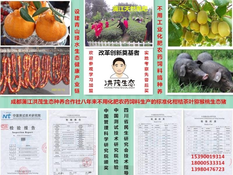 洪茂生态种养