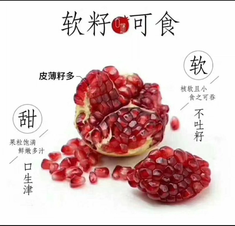 会理软籽石榴突尼斯软籽石榴大果8斤包邮