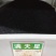 满天星种子花海种子净籽3-5斤/亩可货到付款