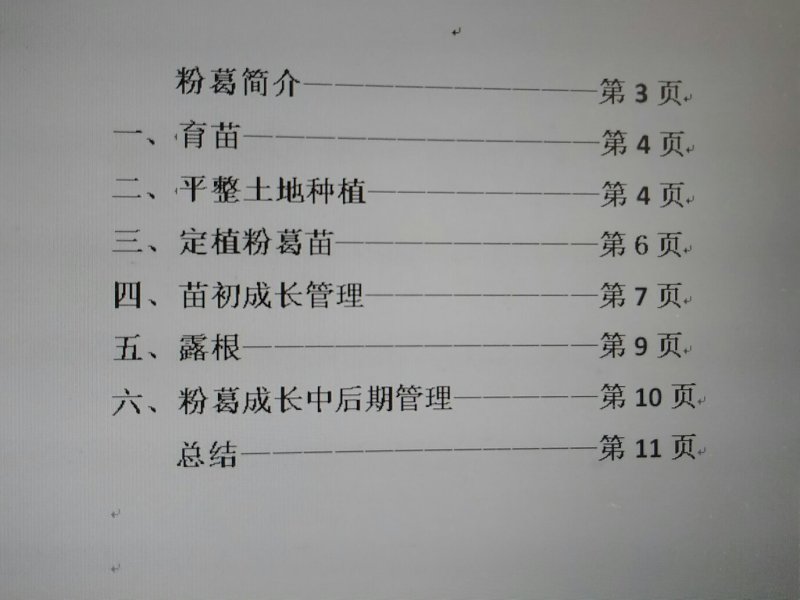 粉葛种苗葛根种苗送种植技术跟踪指导