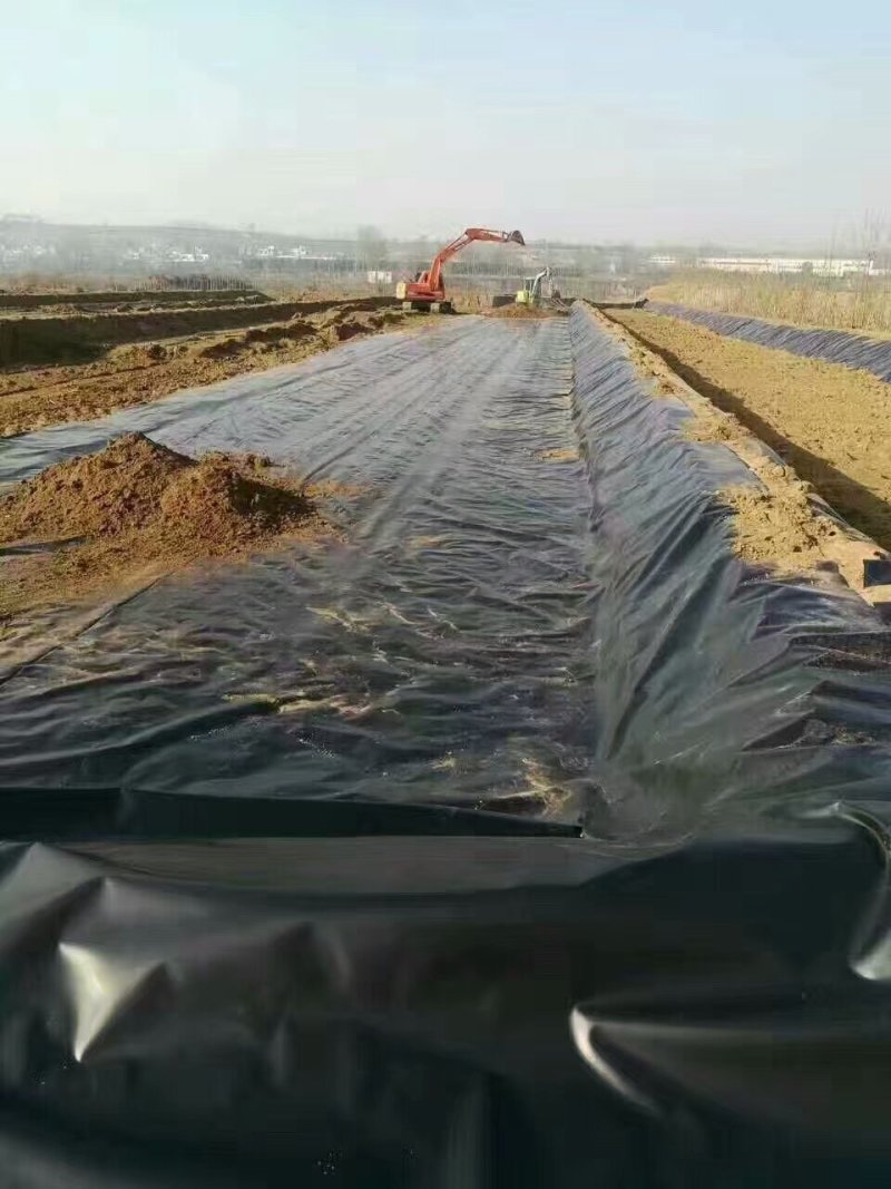 地膜